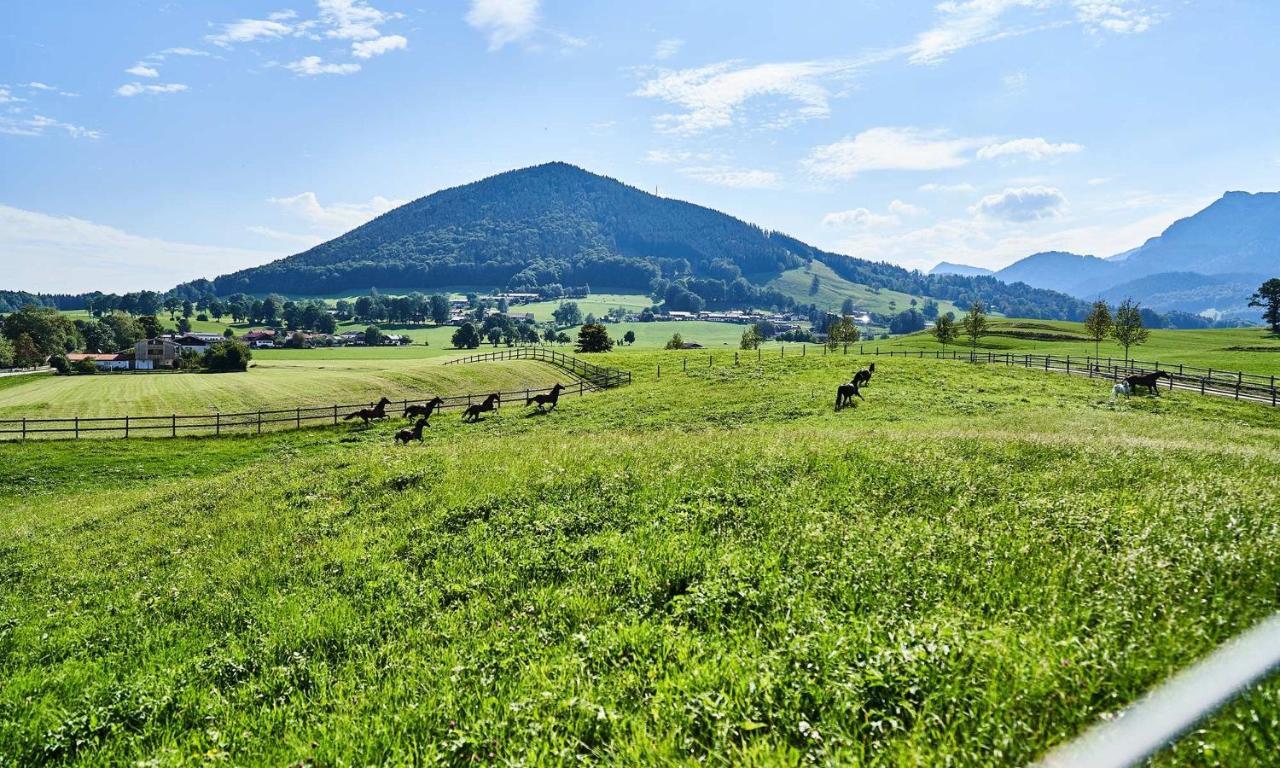 Hof Hauserbichl Fischbachau Esterno foto