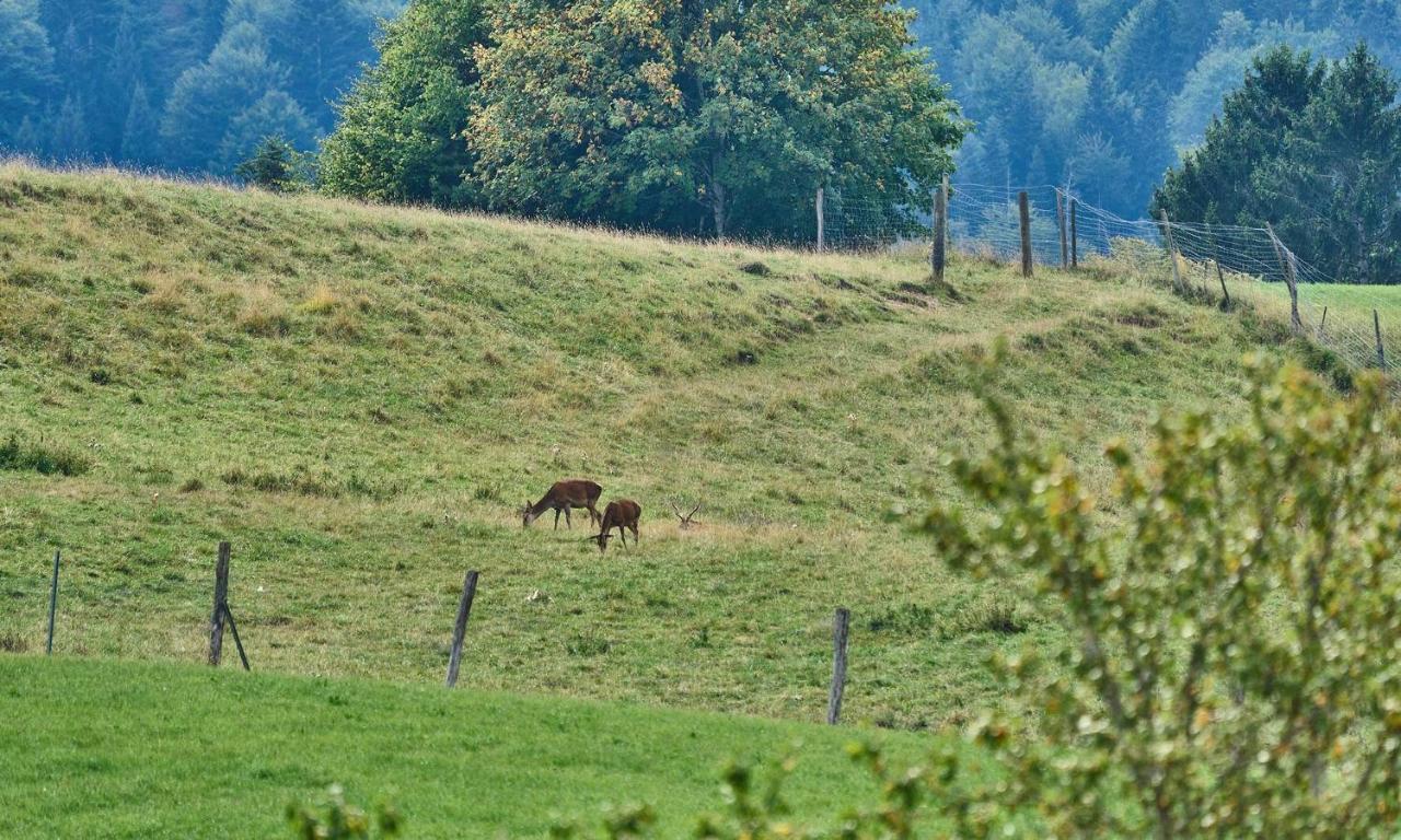 Hof Hauserbichl Fischbachau Esterno foto